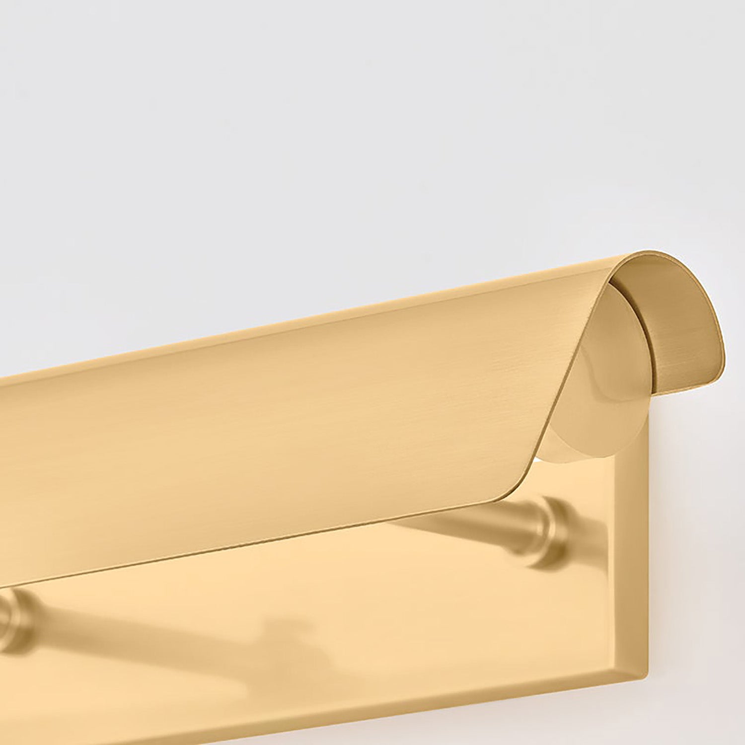 Mitzi Regan Picture Light