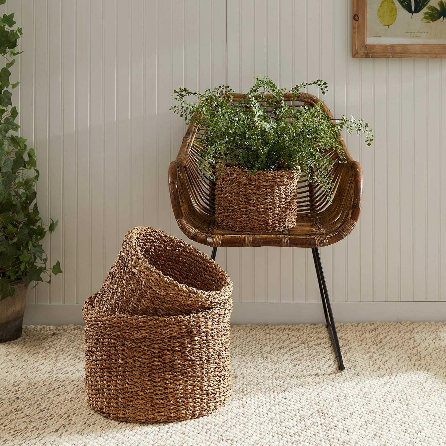 Seagrass Round Cuff Basket Set of 3