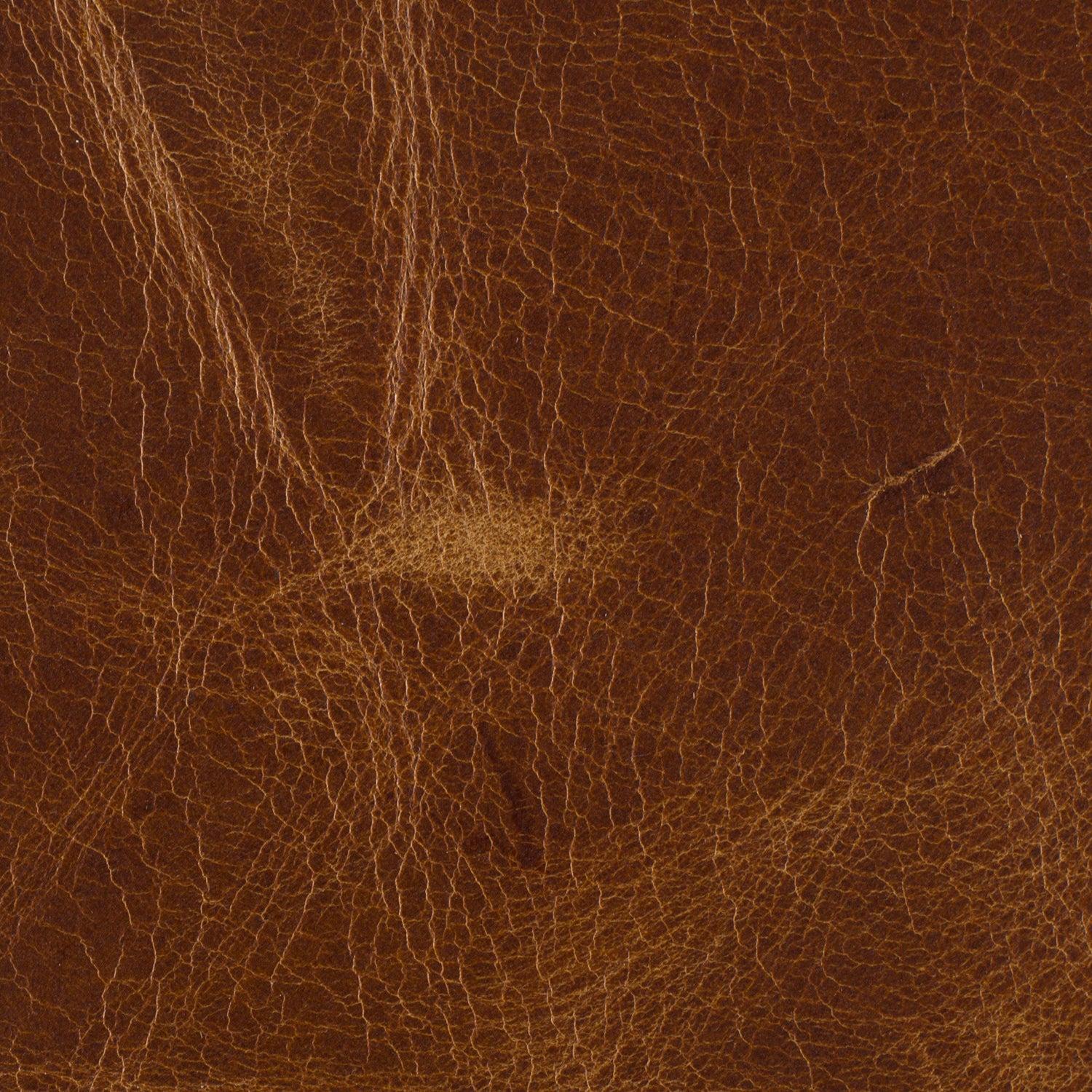 Hooker Furniture Yates Stationary Sofa