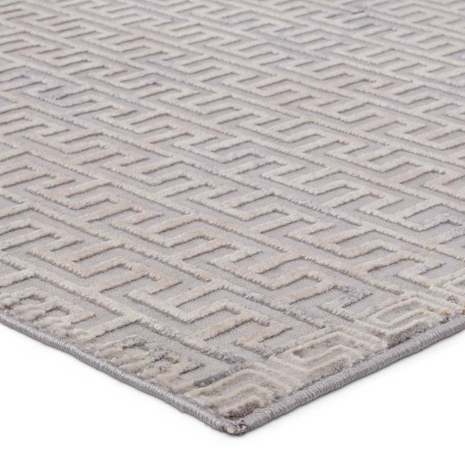 Jaipur Living Sundar Baxley Power Loomed Rug