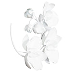 Phillips Collection Orchid Sprig Wall Art