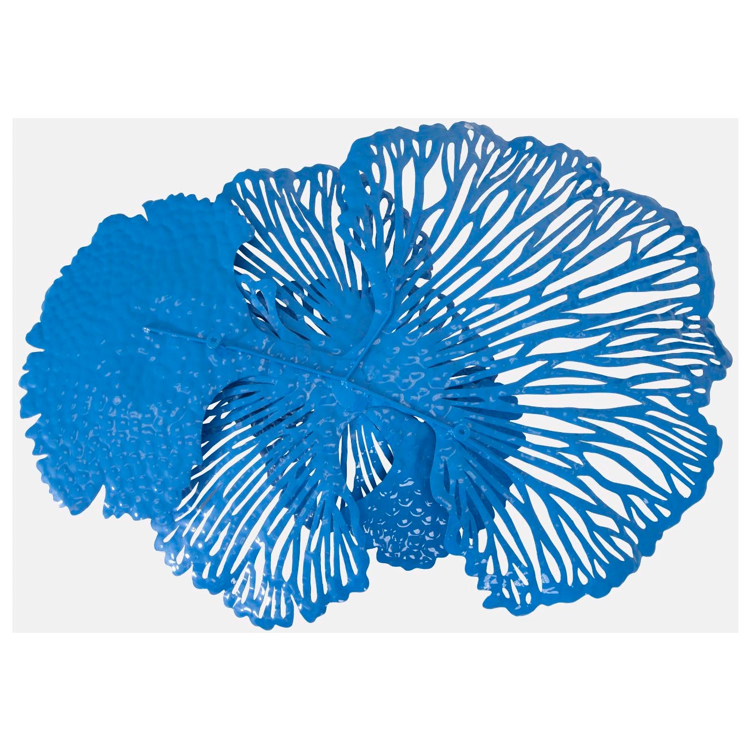 Phillips Collection Flower Wall Art