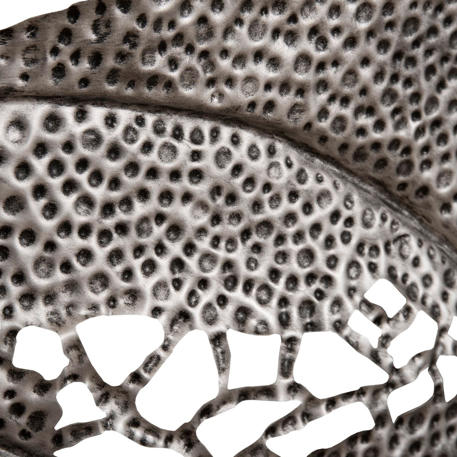 Phillips Collection Birch Leaf Wall Art