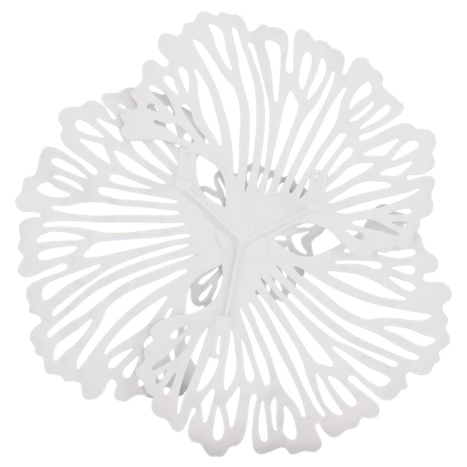 Phillips Collection Flower Wall Art