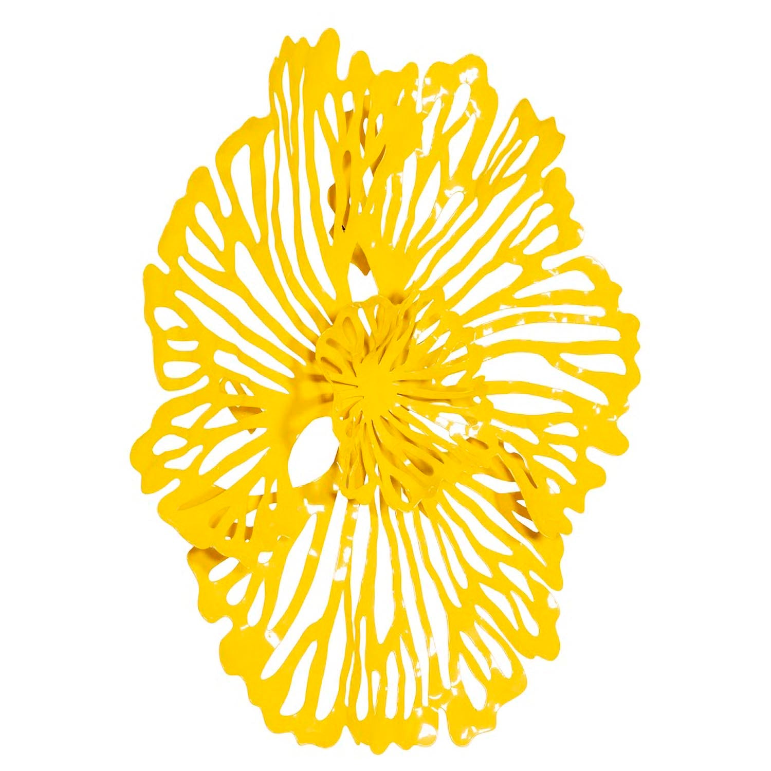 Phillips Collection Flower Wall Art