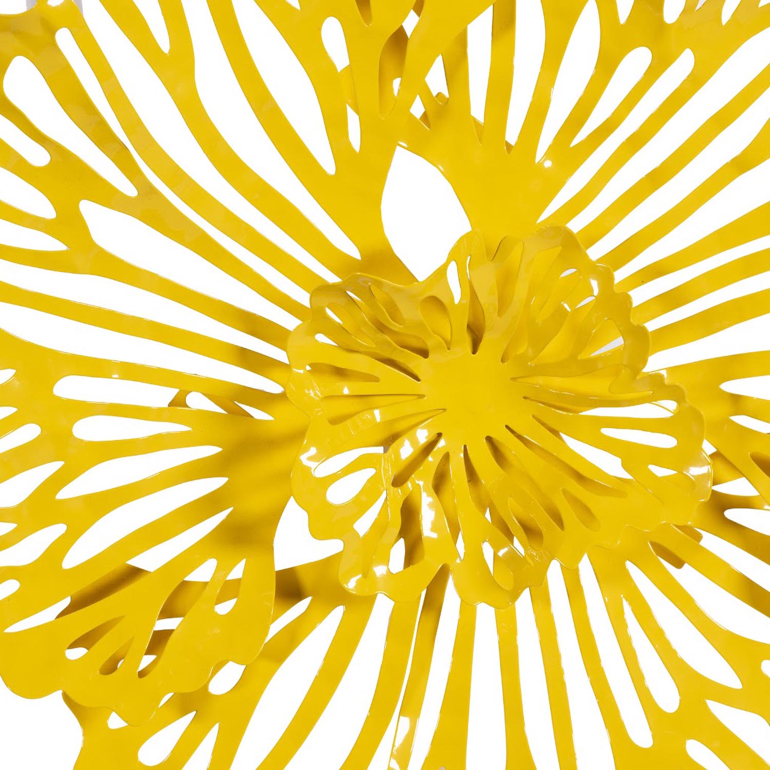 Phillips Collection Flower Wall Art