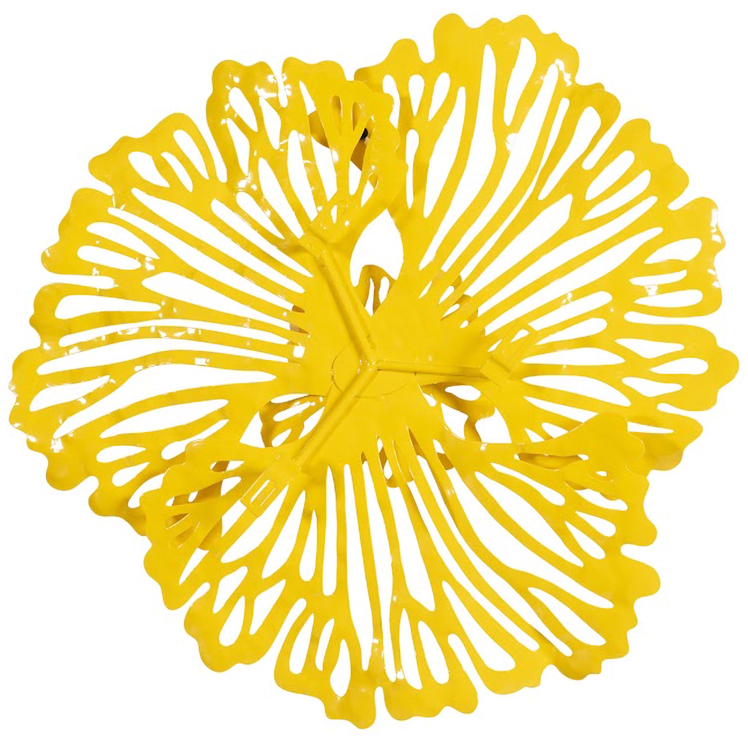 Phillips Collection Flower Wall Art