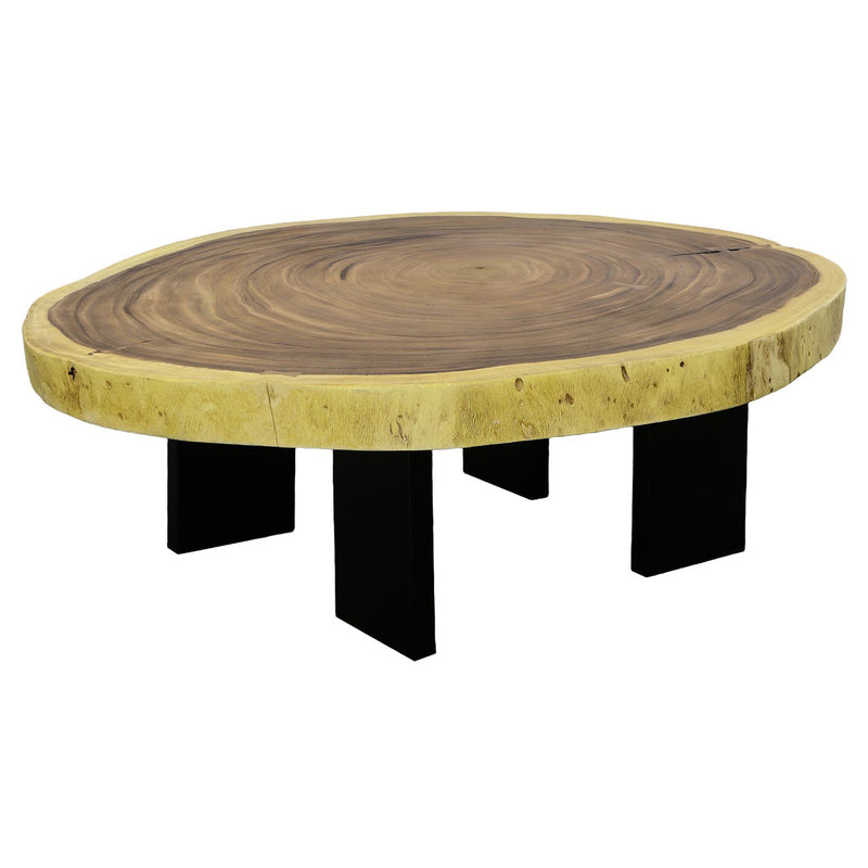 Phillips Collection Floating Coffee Table