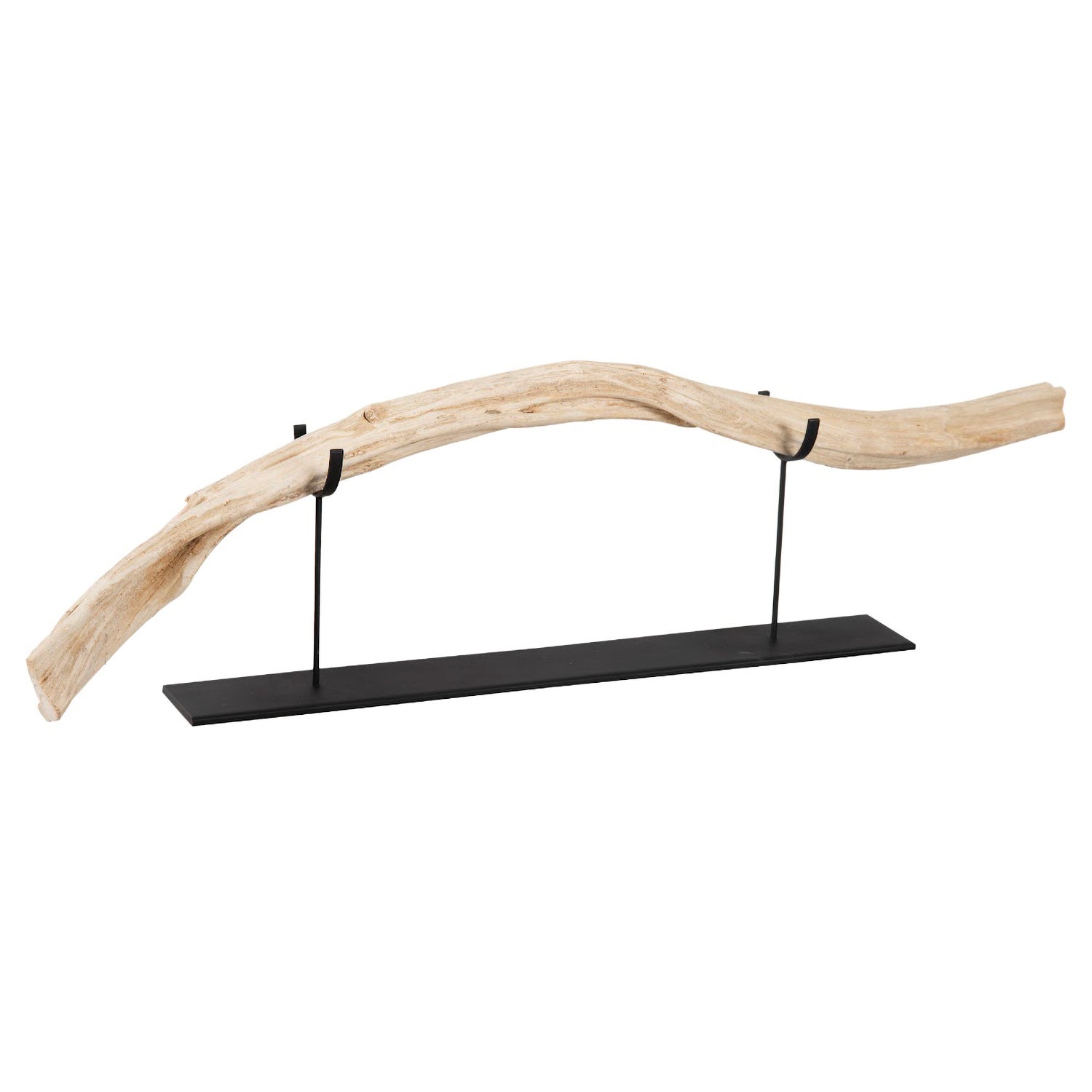 Phillips Collection Vine Sculpture