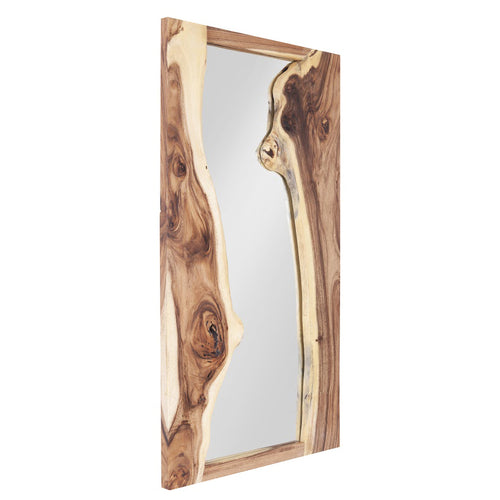 Phillips Collection River Wall Mirror