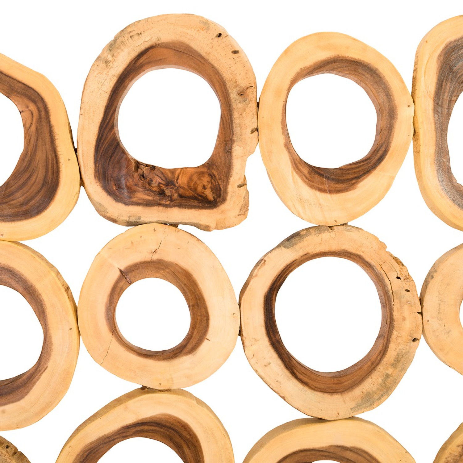 Phillips Collection Chuleta Rings Rectangular Wall Art