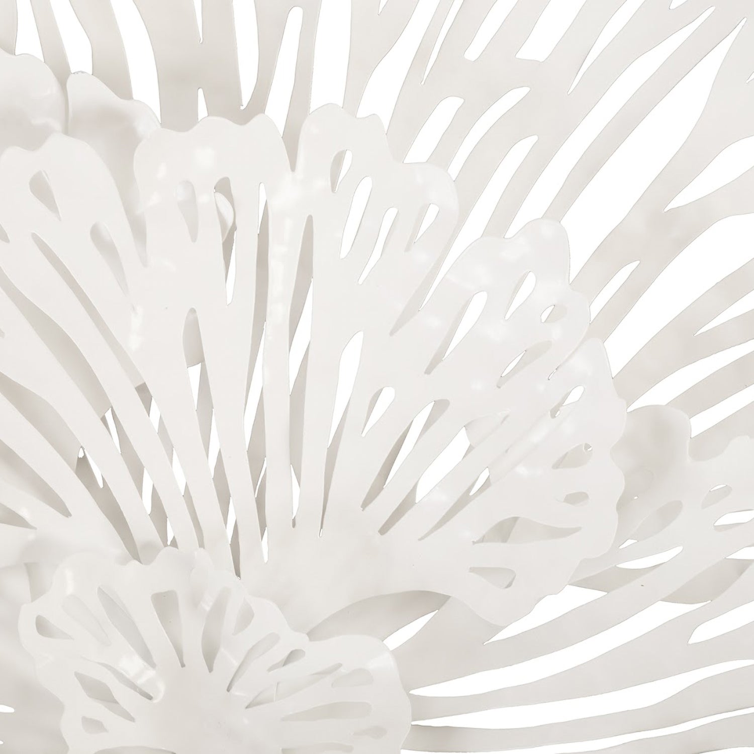 Phillips Collection Flower Wall Art