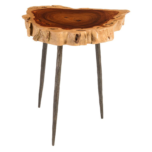 Phillips Collection Makha Burled Side Table