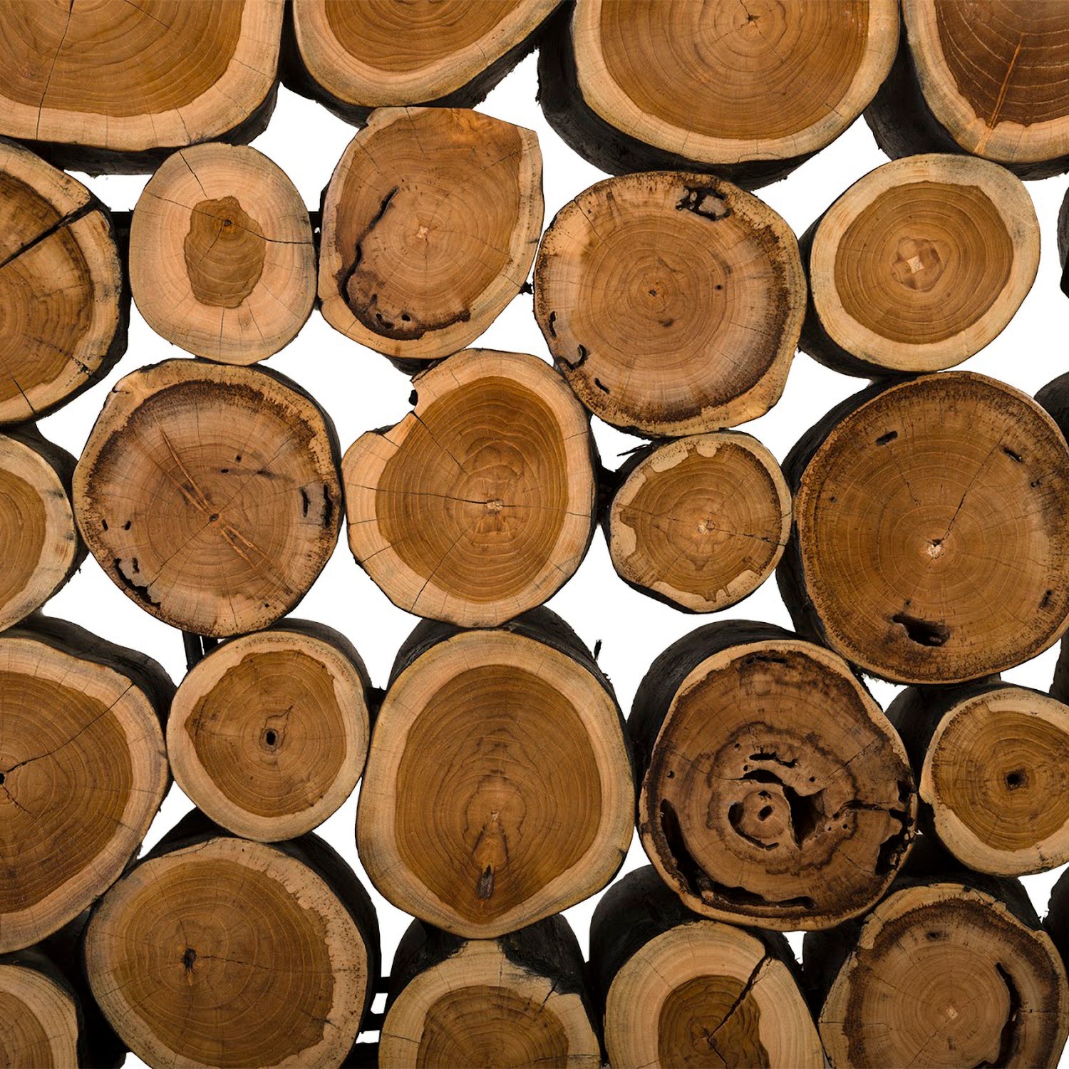 Phillips Collection Boscage Console Table