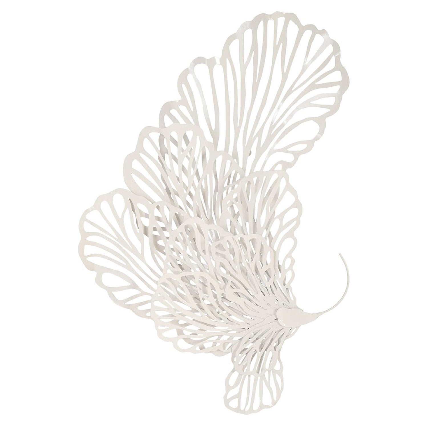 Phillips Collection Butterfly Wall Art