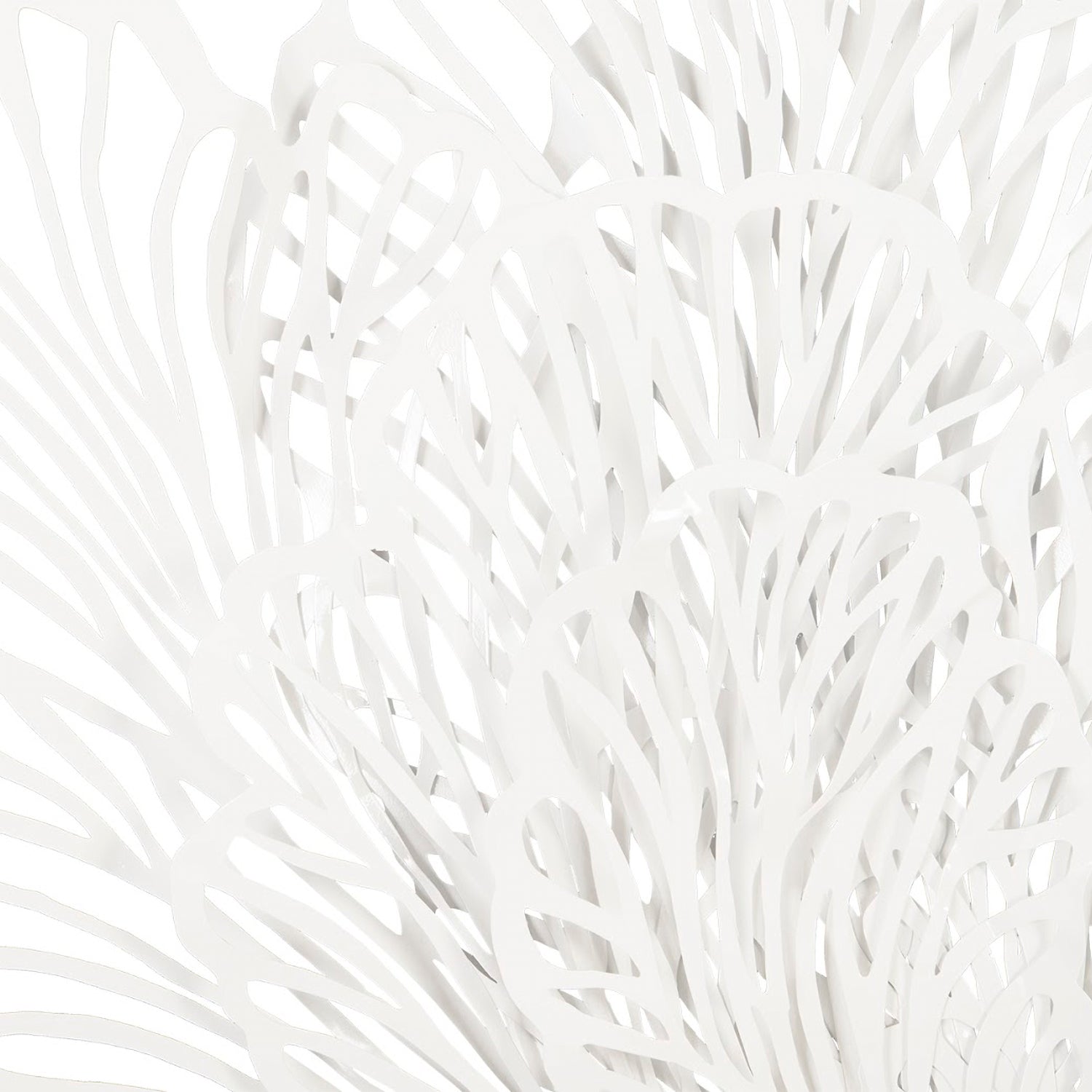 Phillips Collection Butterfly Wall Art