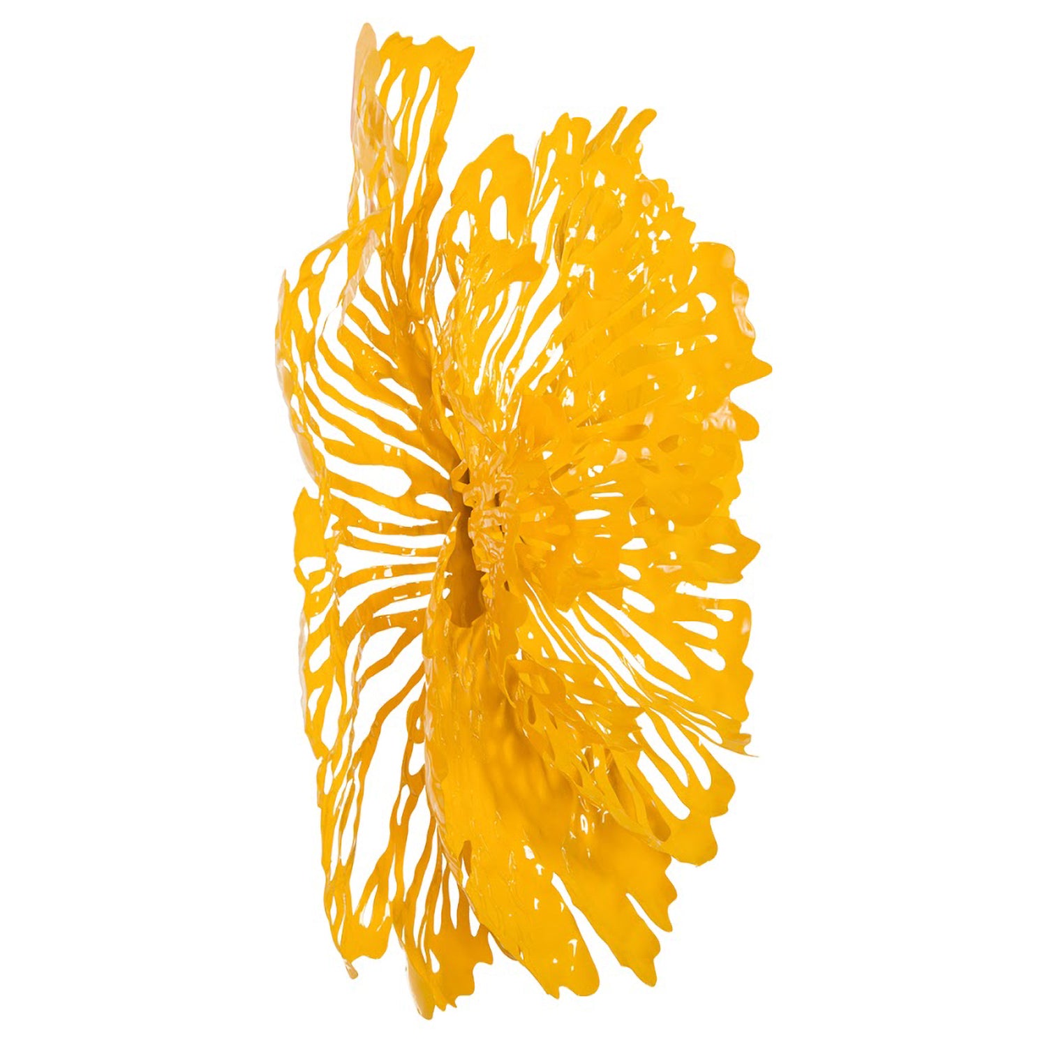 Phillips Collection Flower Wall Art