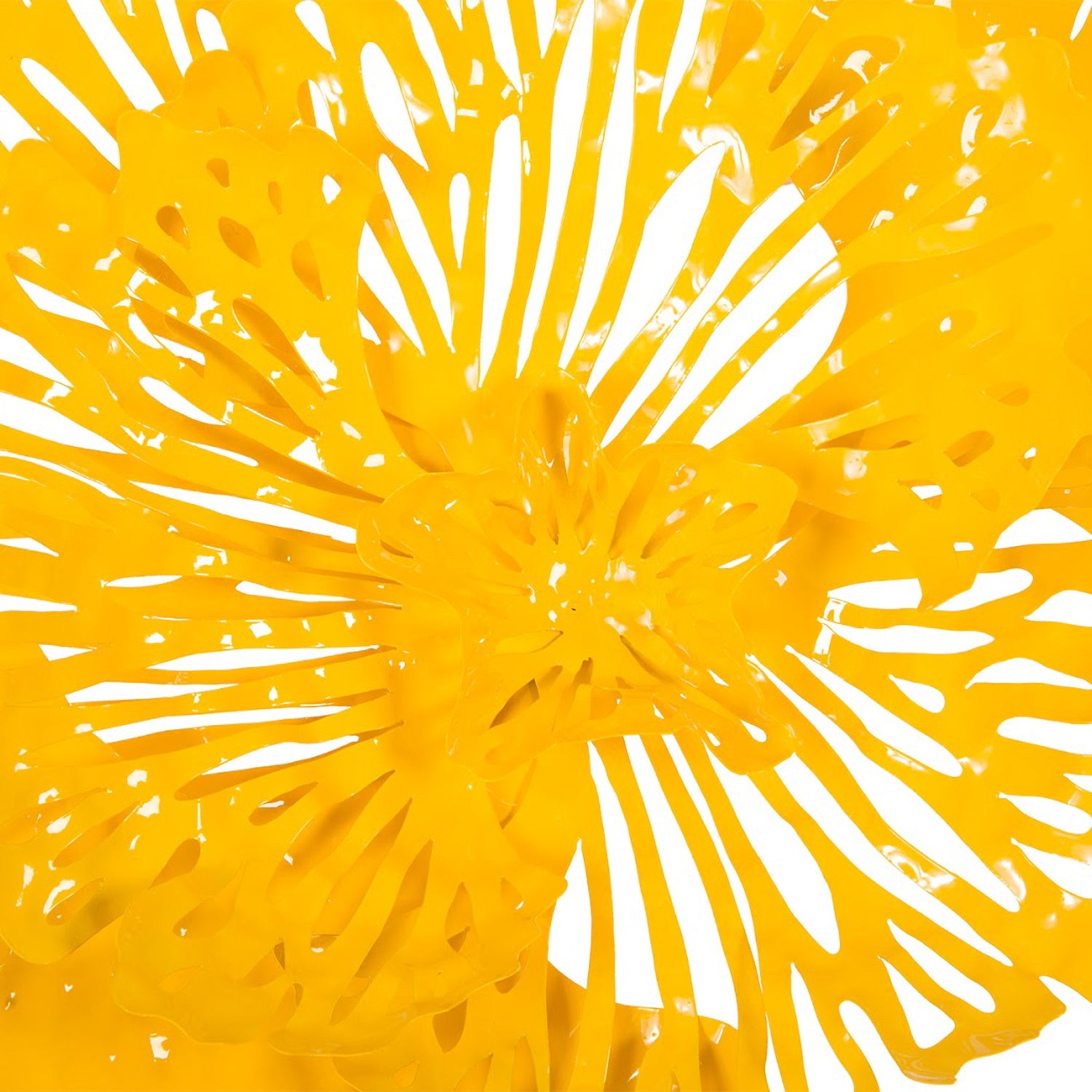 Phillips Collection Flower Wall Art