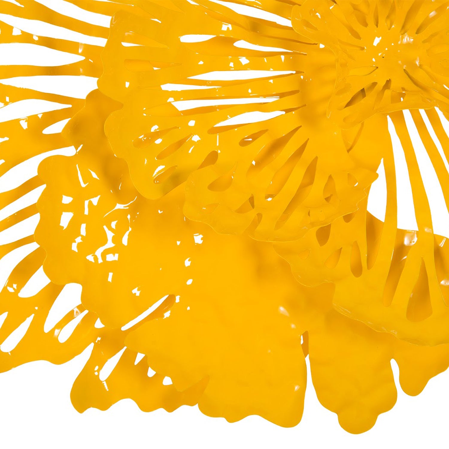 Phillips Collection Flower Wall Art