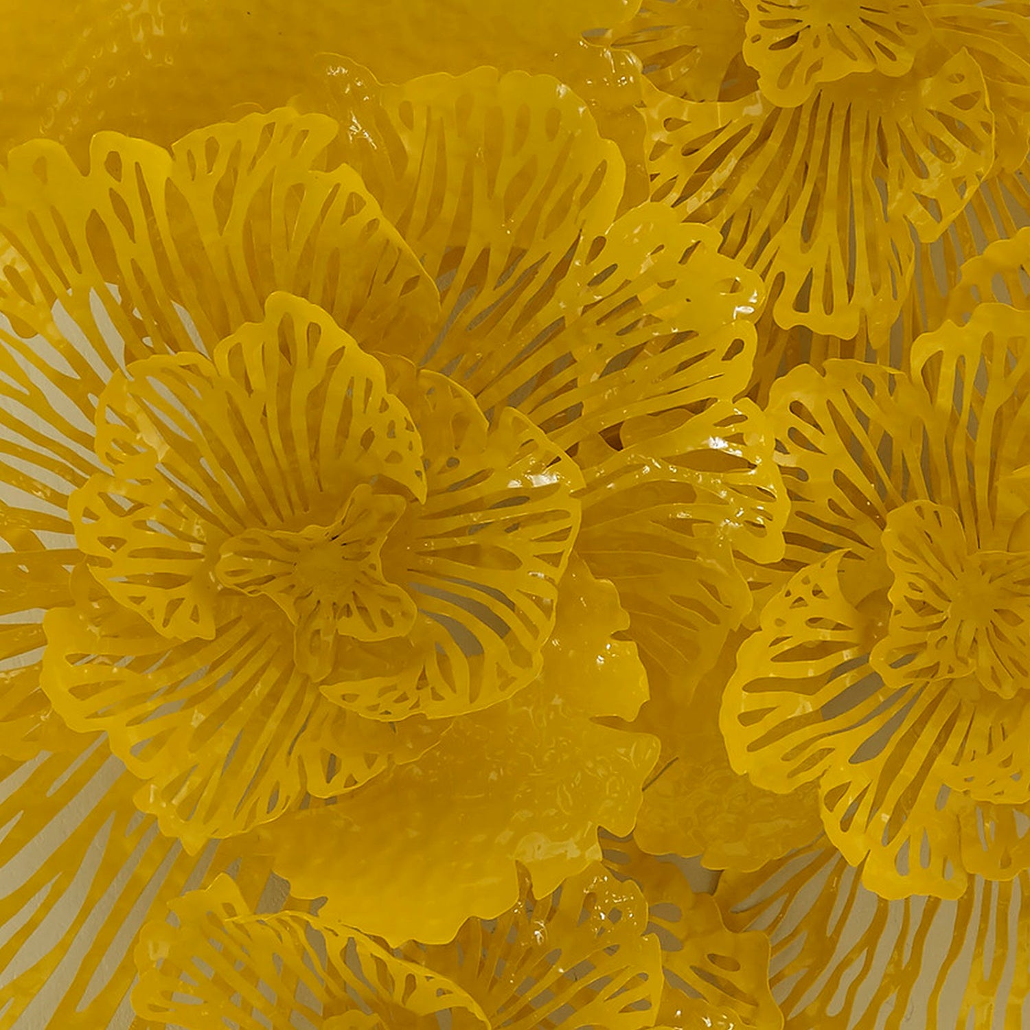 Phillips Collection Flower Wall Art