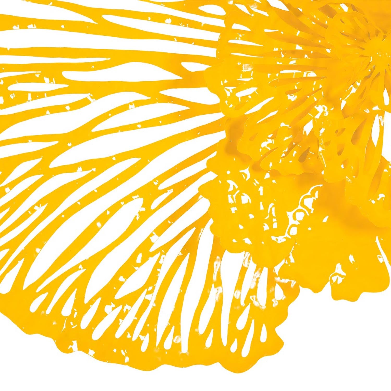 Phillips Collection Flower Wall Art