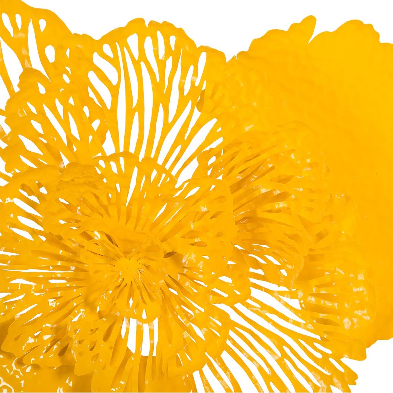 Phillips Collection Flower Wall Art