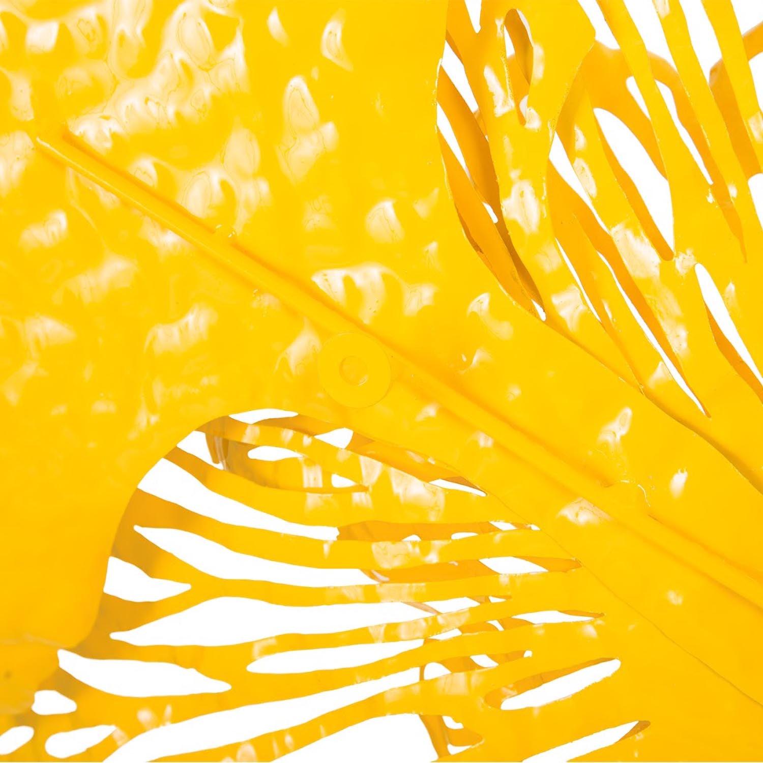 Phillips Collection Flower Wall Art