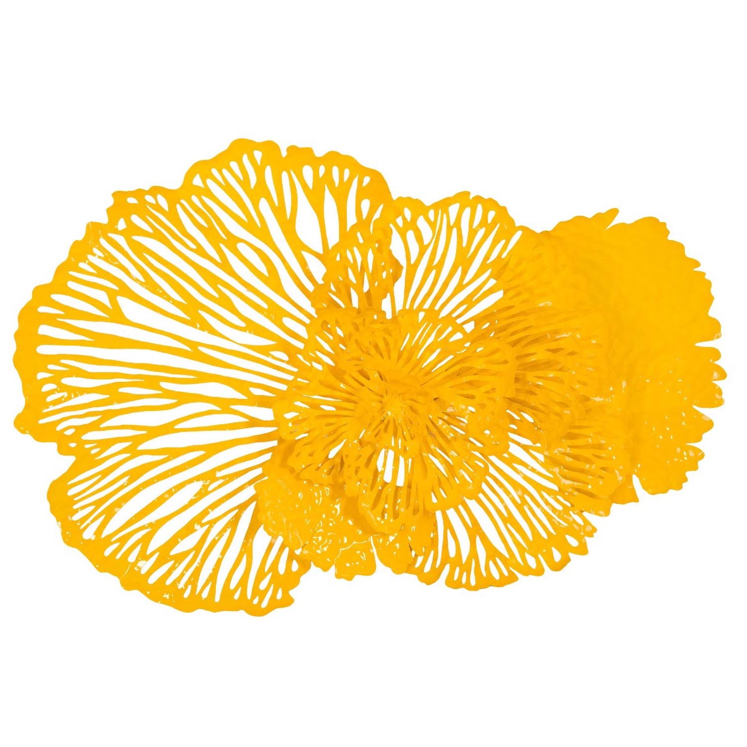 Phillips Collection Flower Wall Art