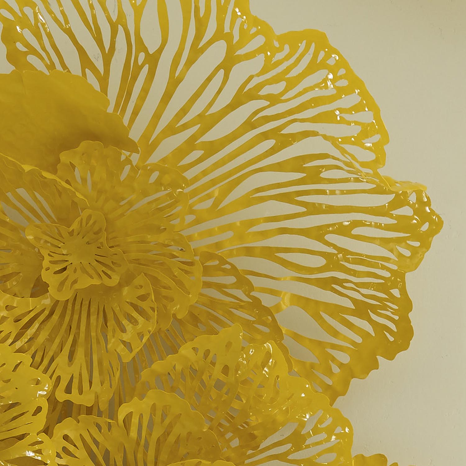 Phillips Collection Flower Wall Art