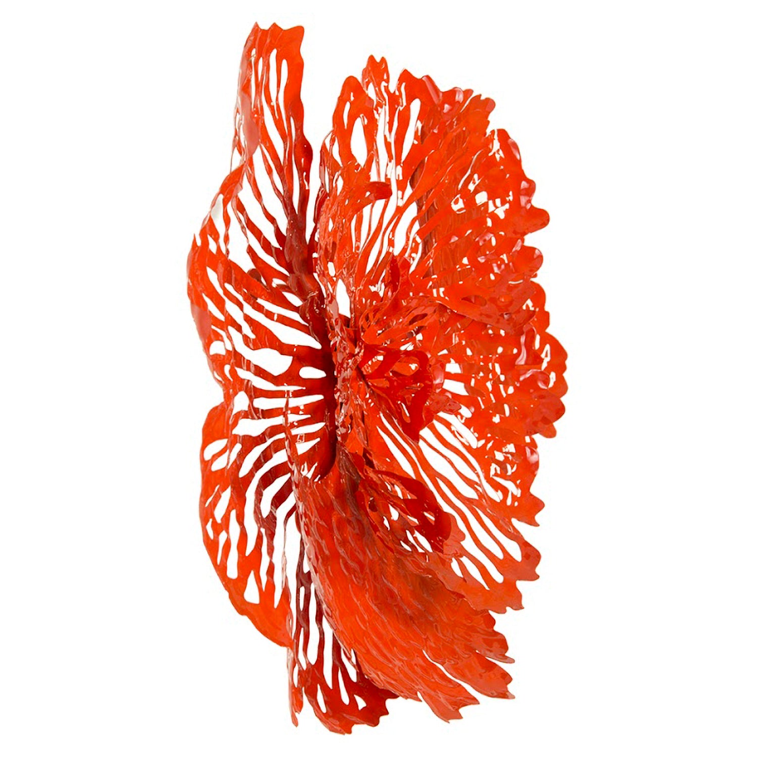 Phillips Collection Flower Wall Art