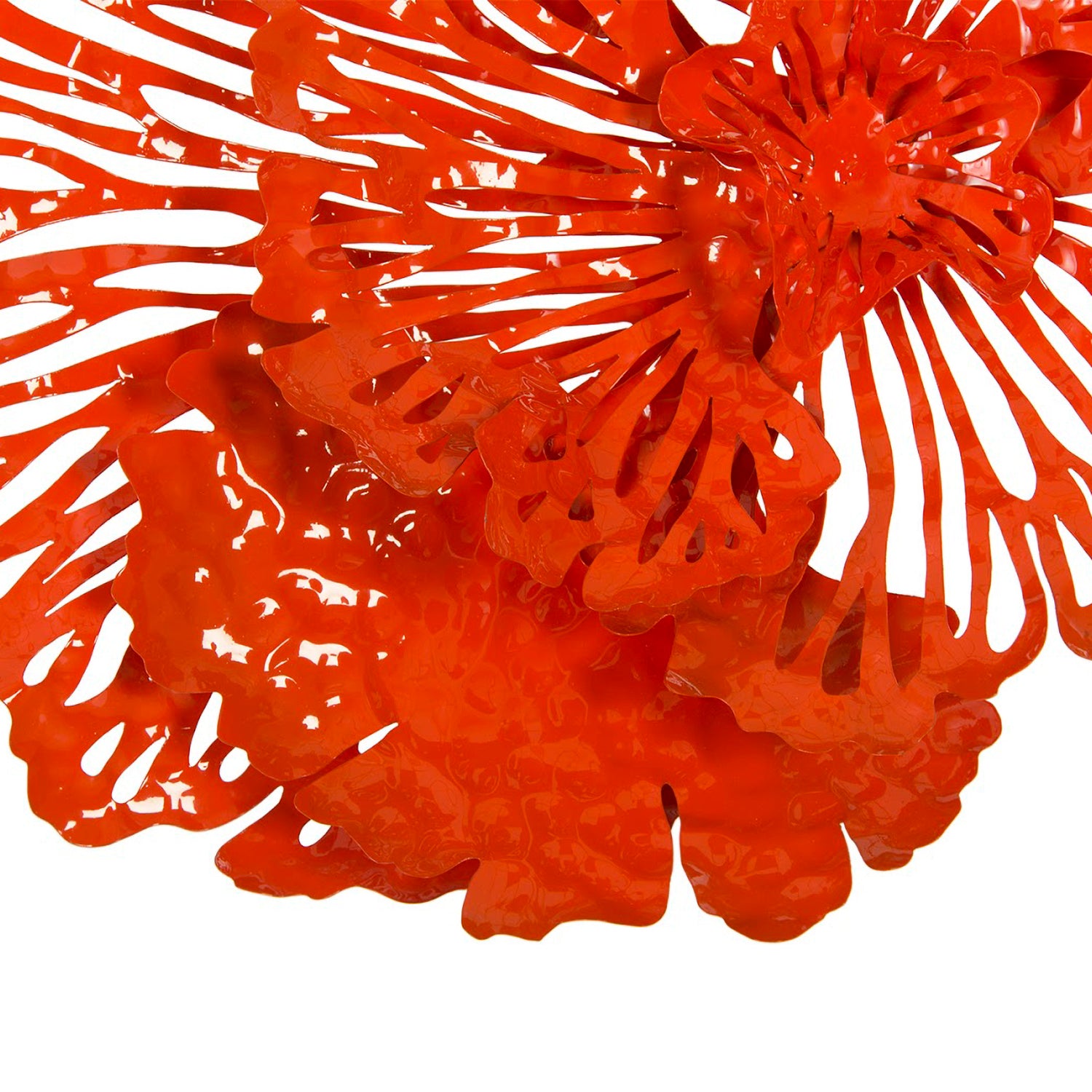 Phillips Collection Flower Wall Art