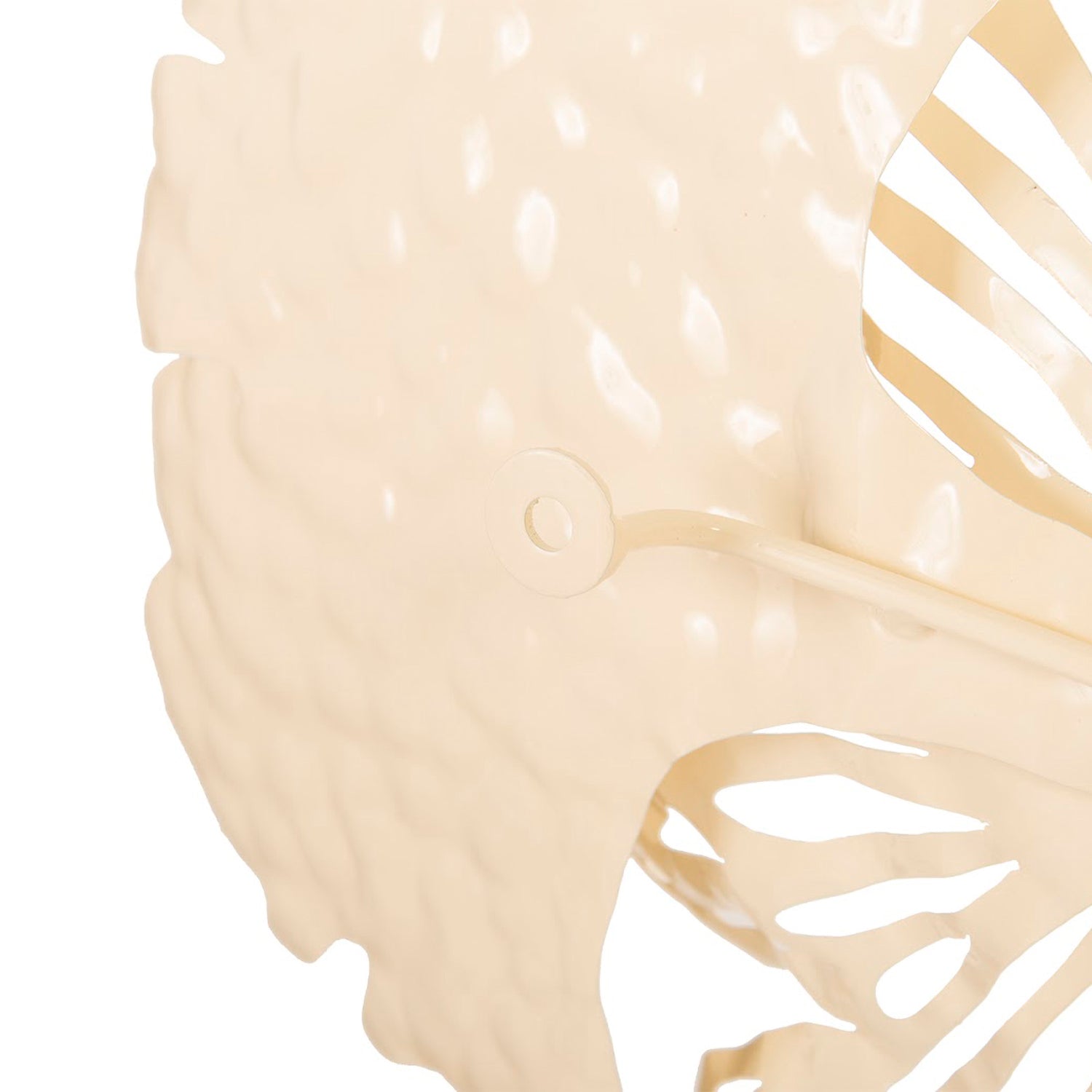 Phillips Collection Flower Wall Art