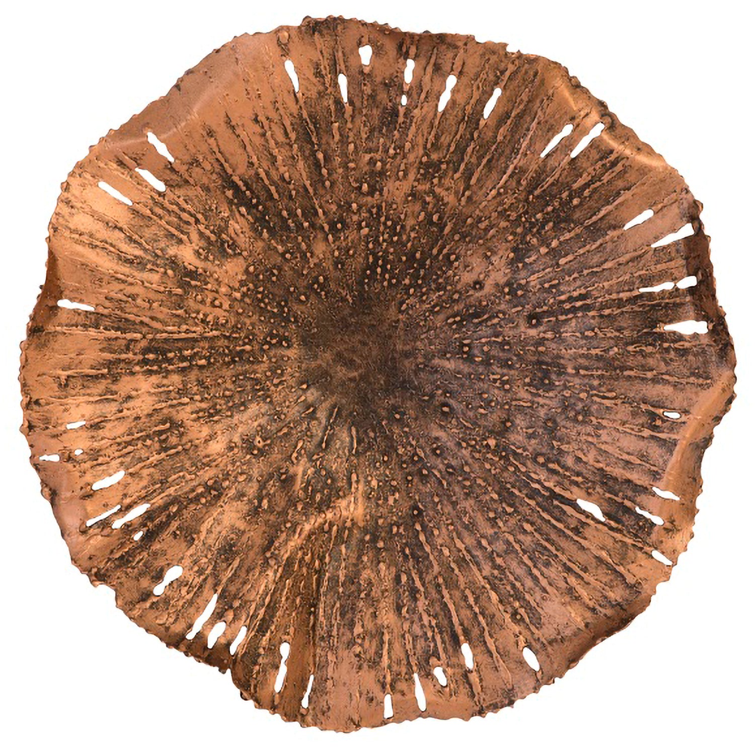 Phillips Collection Lotus Wall Art