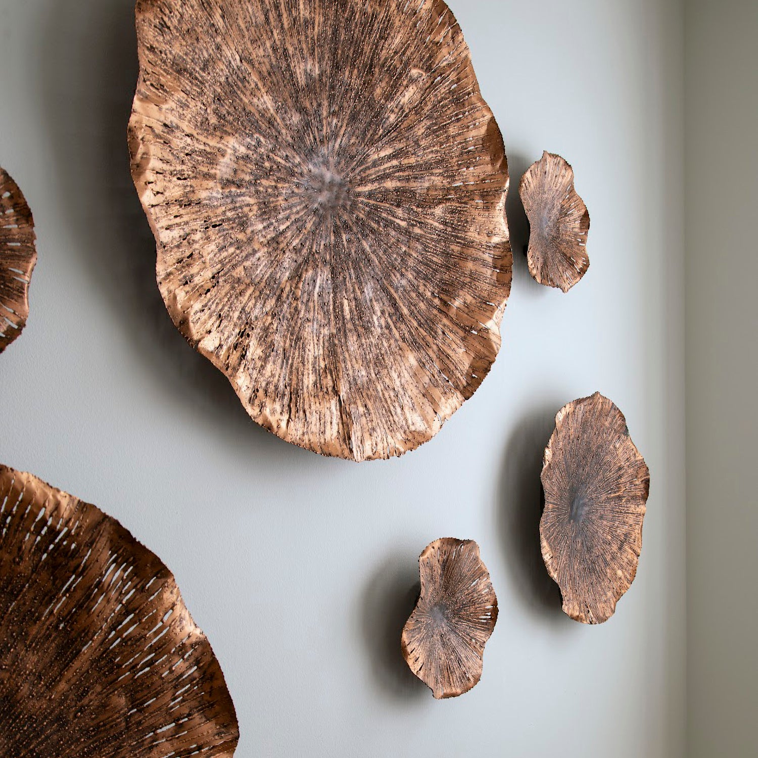 Phillips Collection Lotus Wall Art