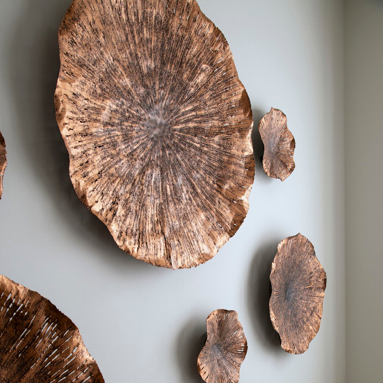 Phillips Collection Lotus Wall Art