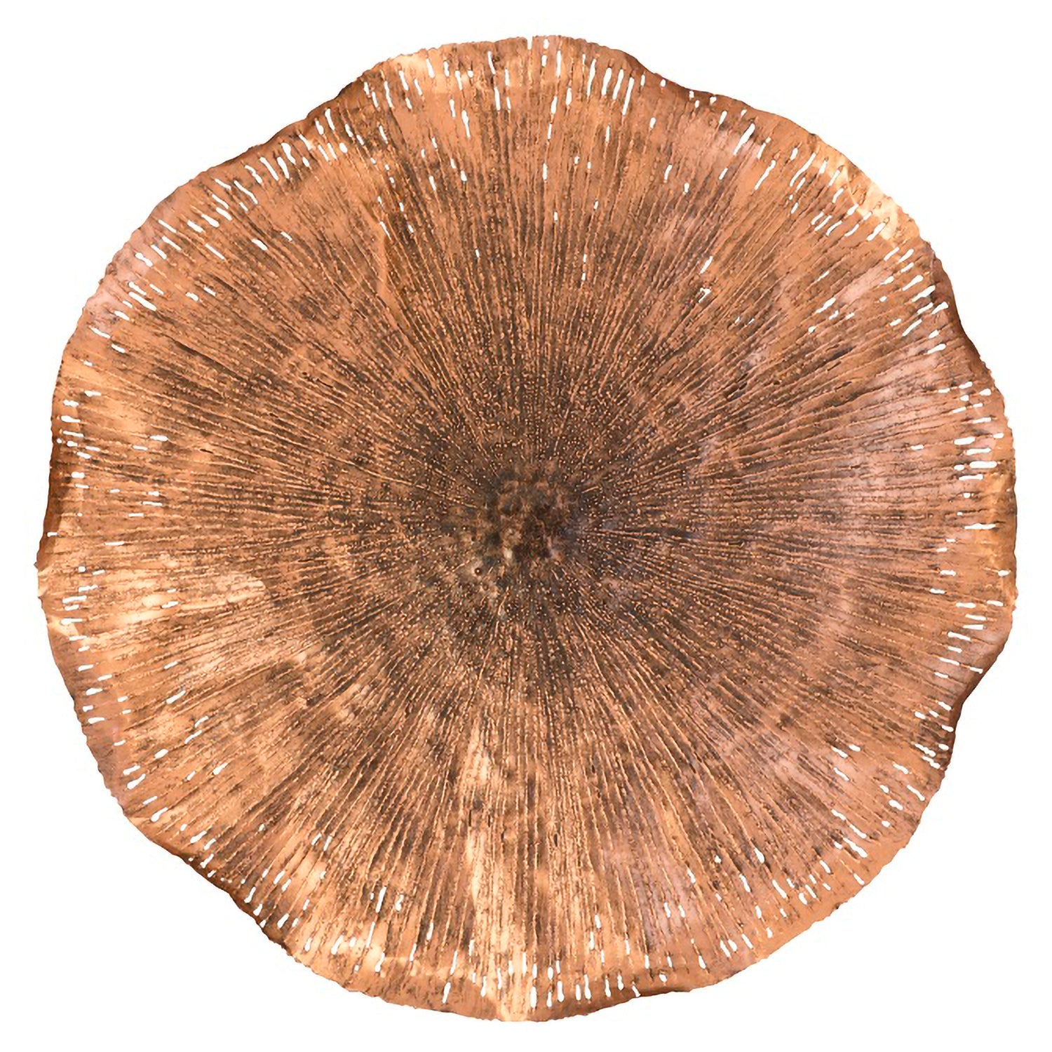 Phillips Collection Lotus Wall Art