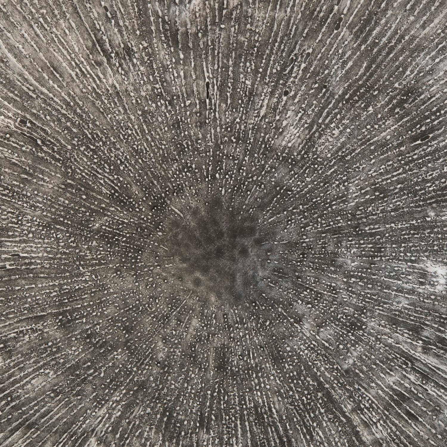 Phillips Collection Lotus Wall Art