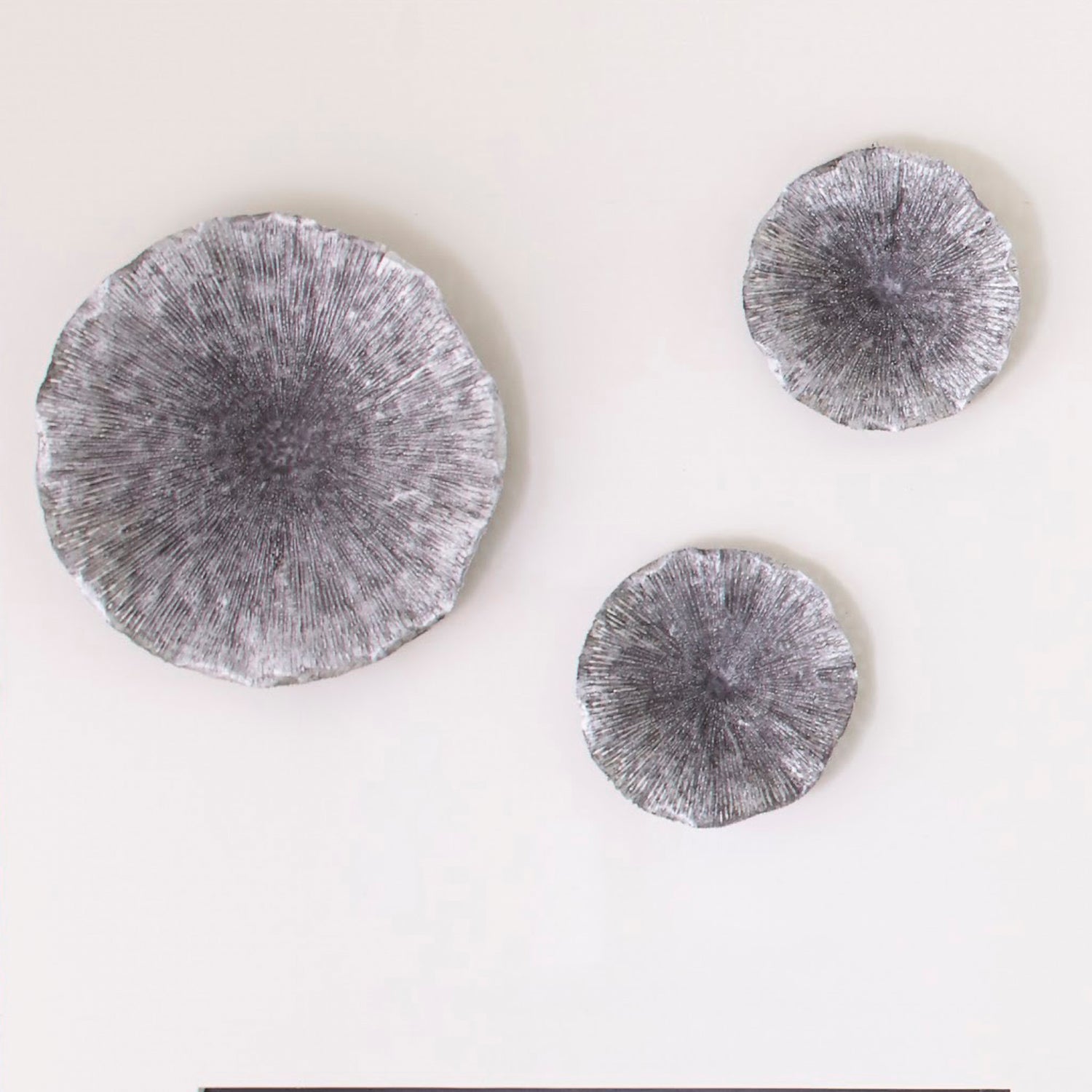 Phillips Collection Lotus Wall Art