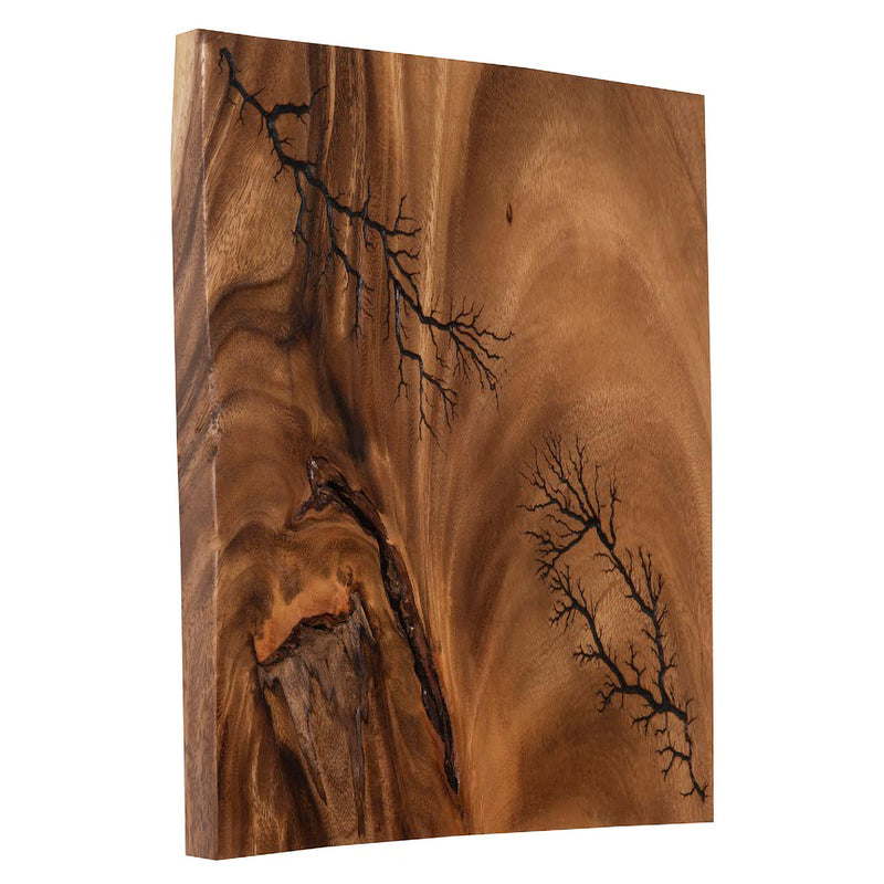 Phillips Collection Lightning Wall Tile