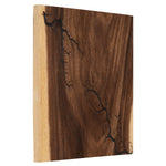 Phillips Collection Lightning Wall Tile