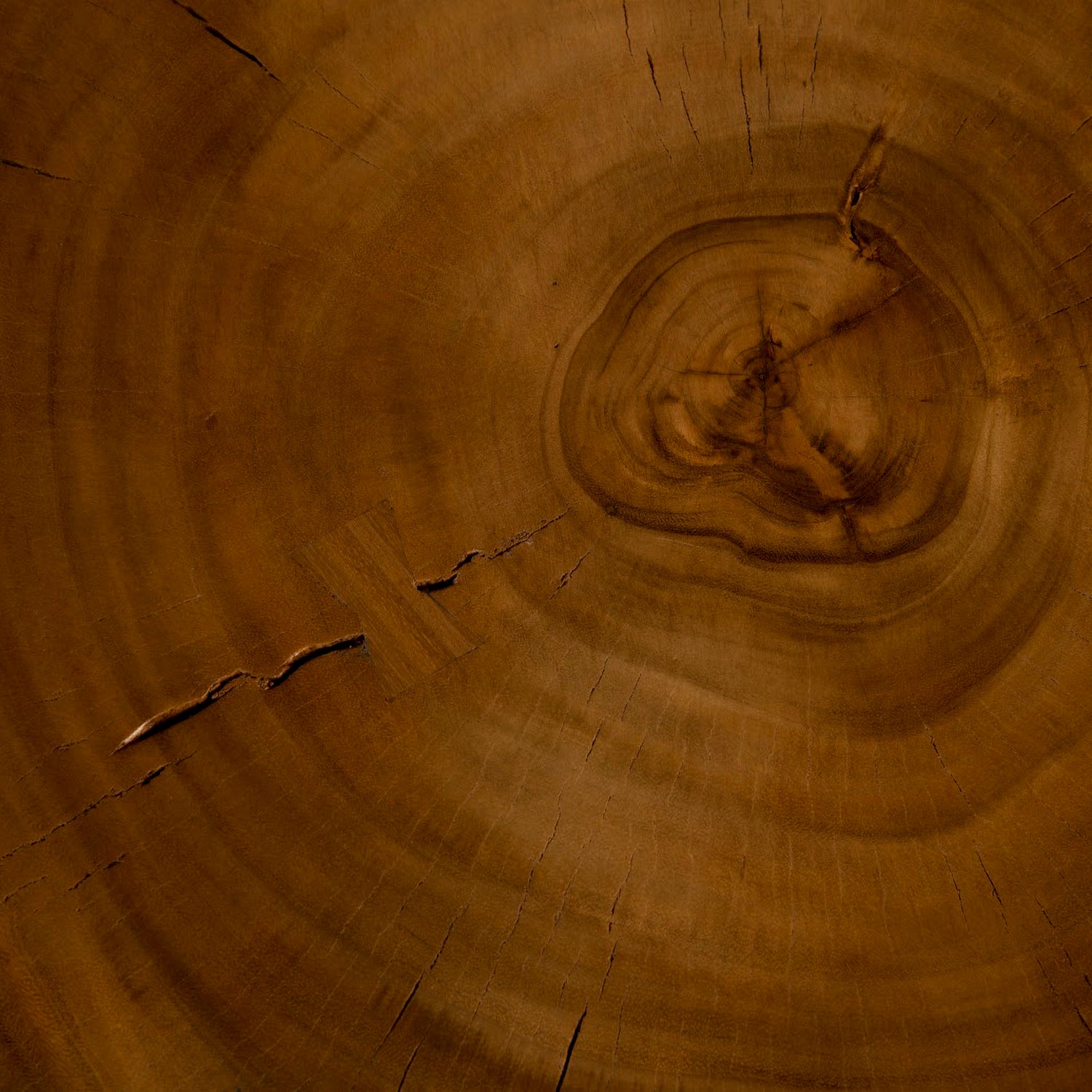 Phillips Collection Chuleta Bar Table