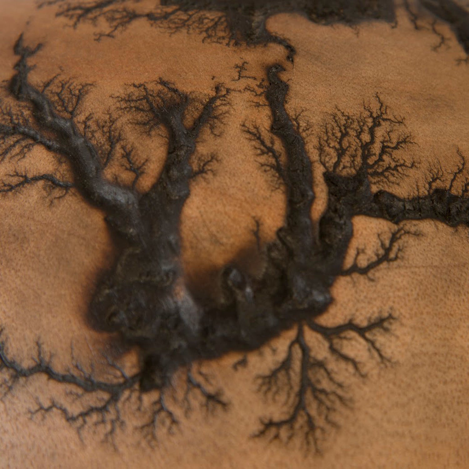 Phillips Collection Lightning Vase