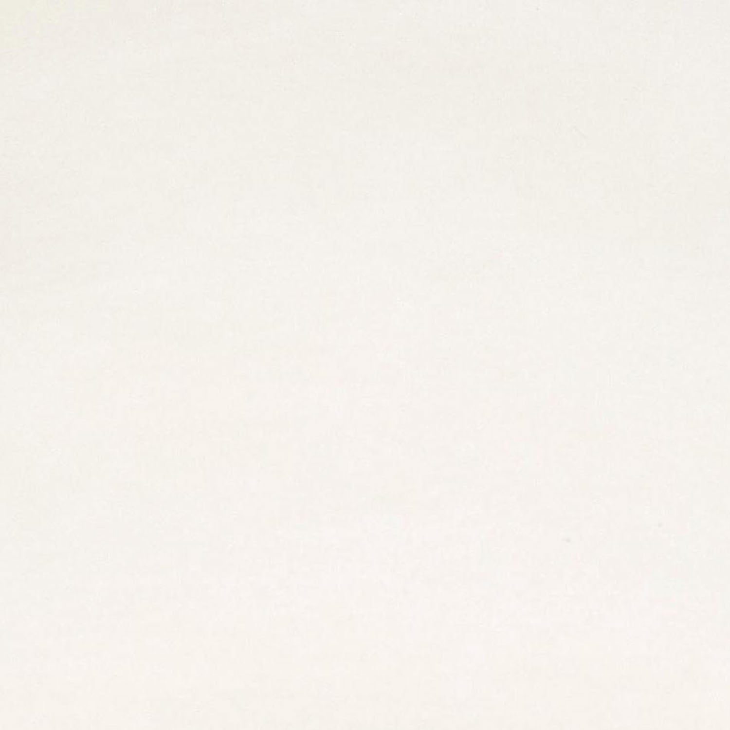 TOV Furniture Sloane Bone White Upcycled Chair