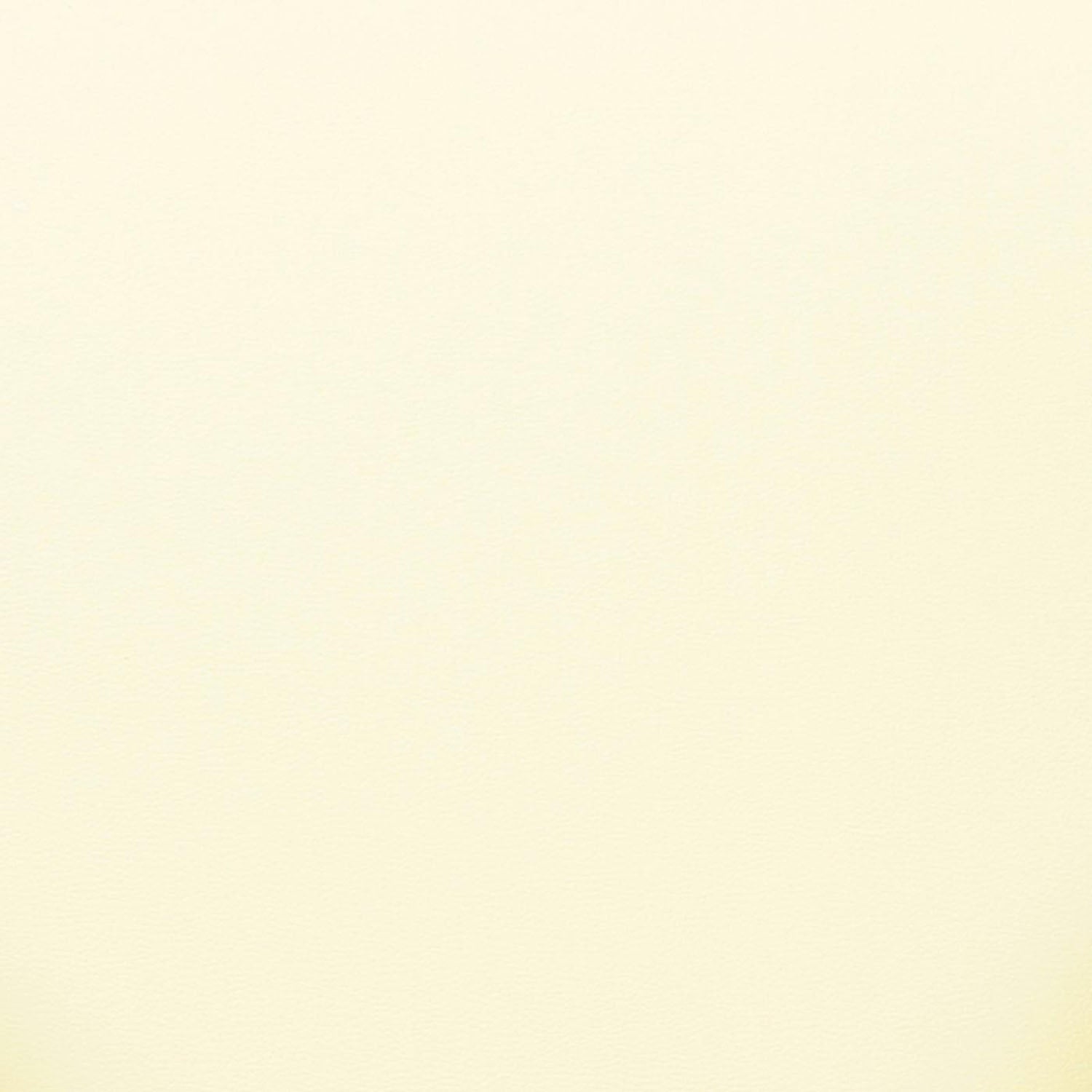 TOV Furniture Sezanne Dining Chair