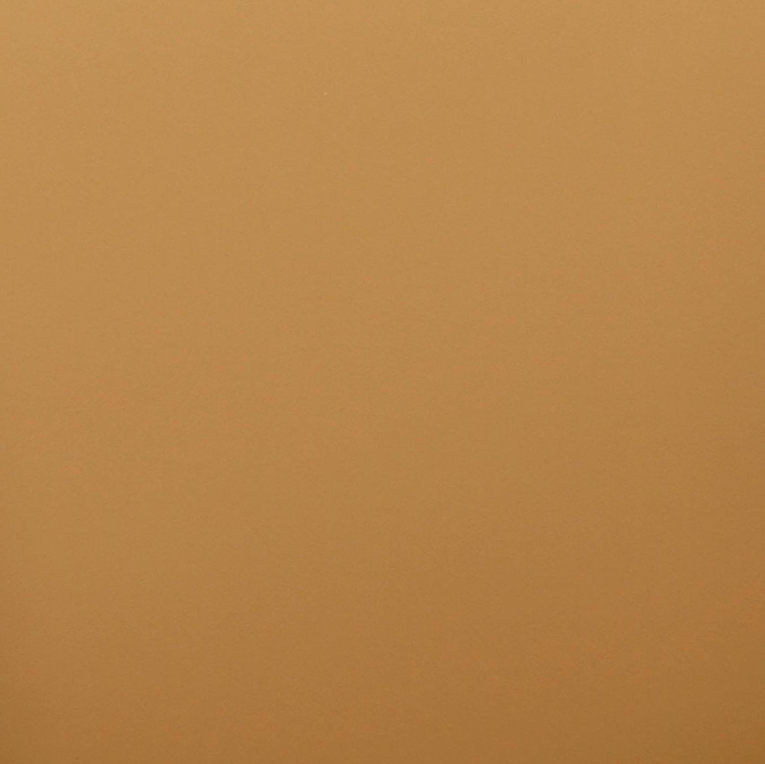 TOV Furniture Leo Performance Vegan Leather Dining Chair