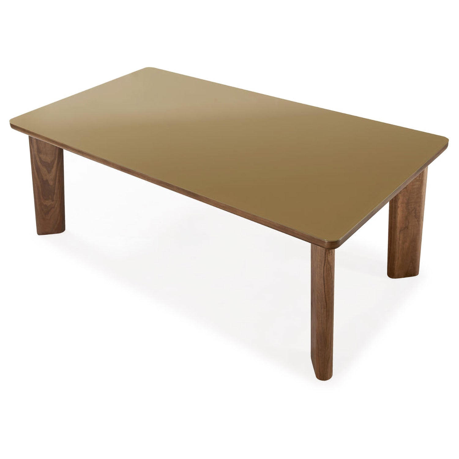 TOV Furniture Oani Walnut and Glass Rectangular Dining Table