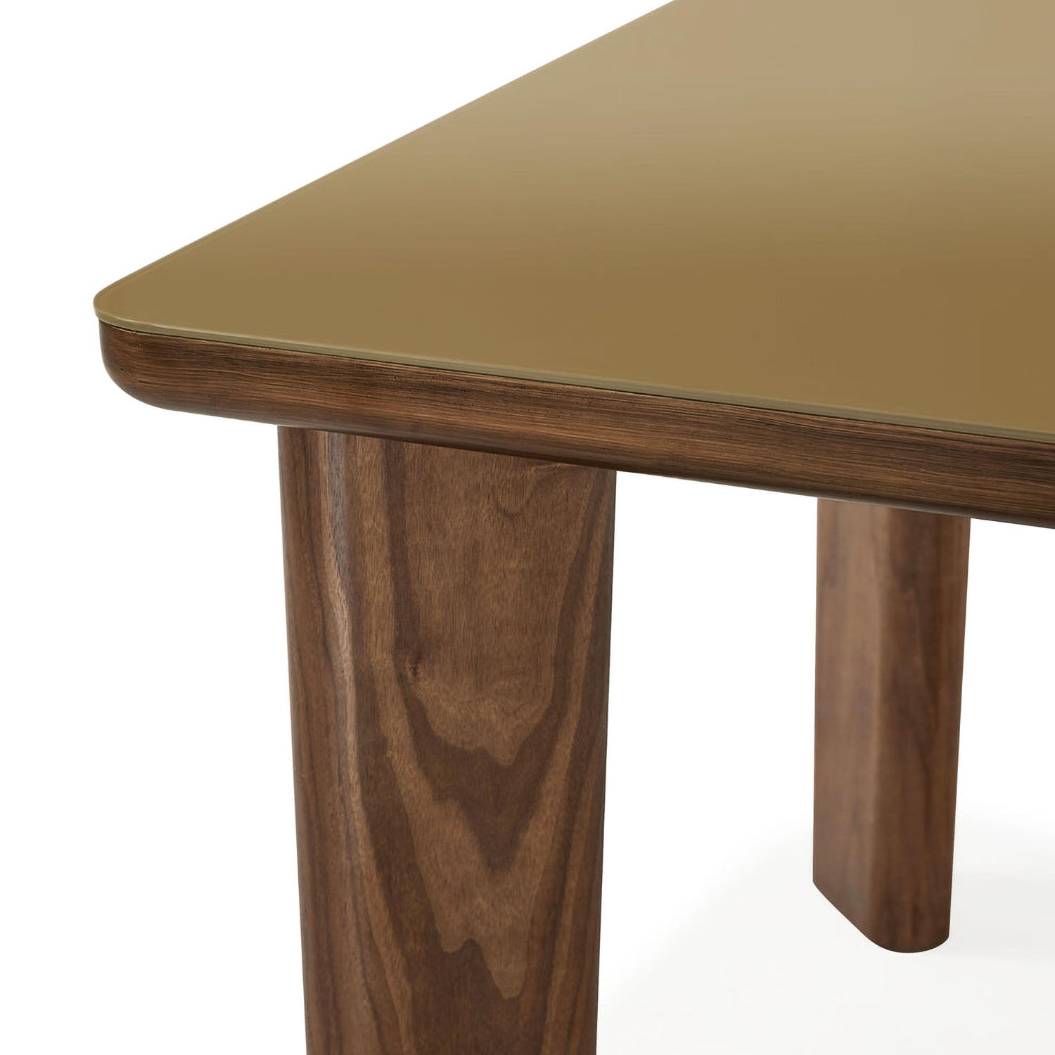 TOV Furniture Oani Walnut and Glass Rectangular Dining Table