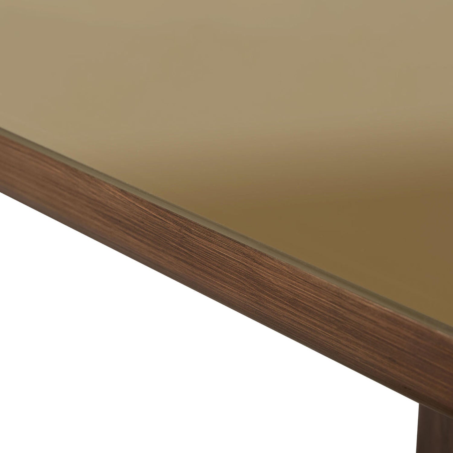 TOV Furniture Oani Walnut and Glass Rectangular Dining Table