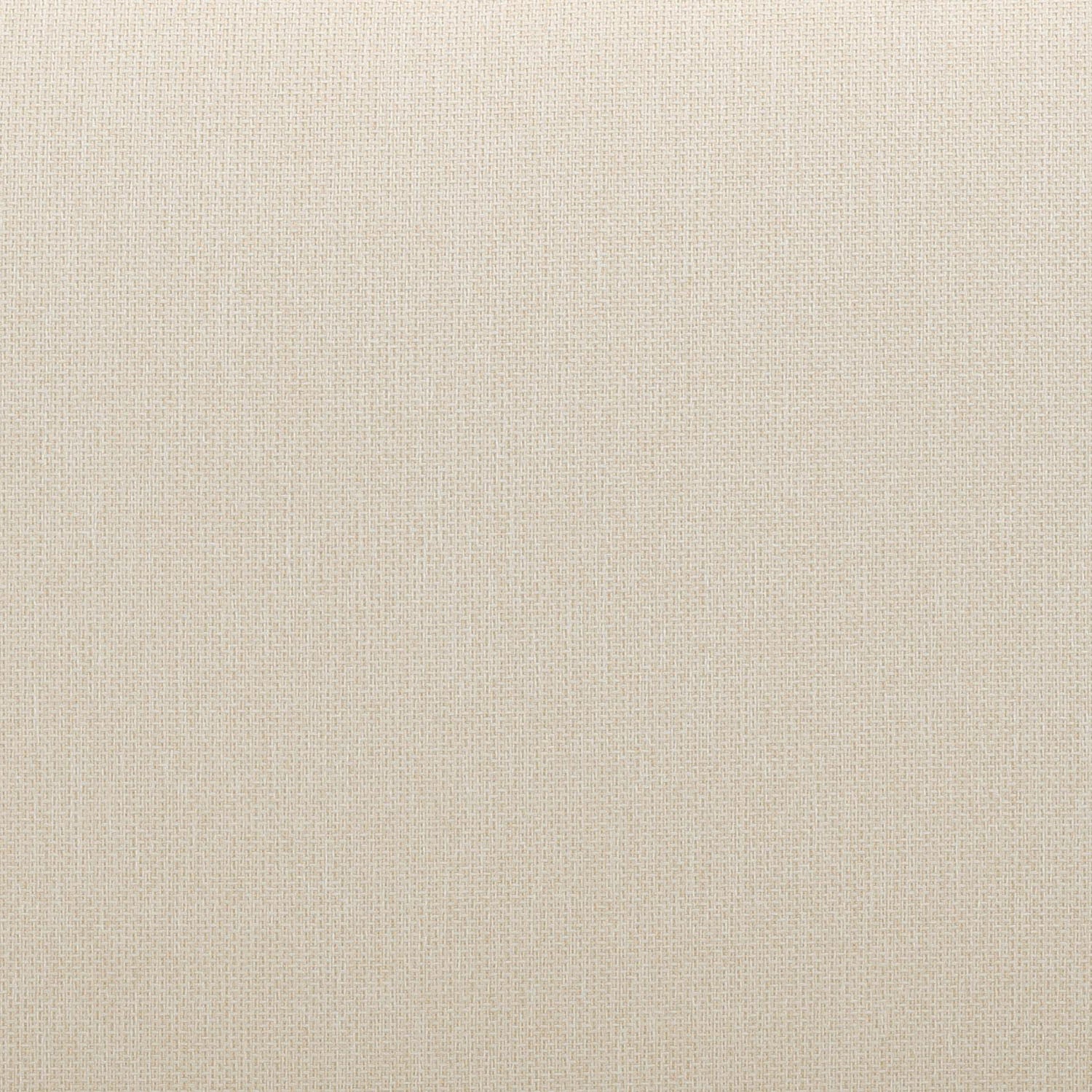 TOV Furniture Reavan Cream Outdoor Lounge Chair