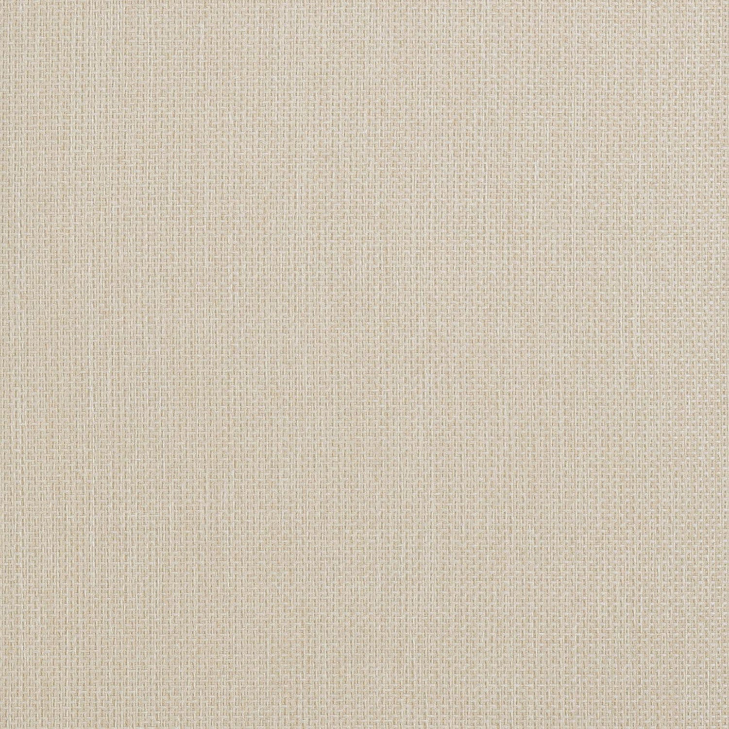 TOV Furniture Sardinia Cream Outdoor Dining Chair Set of 2